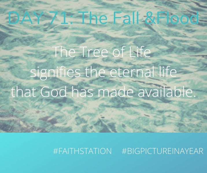 DAY 71 - BIG PICTURE IN A YEAR - THE FALL & THE FLOOD