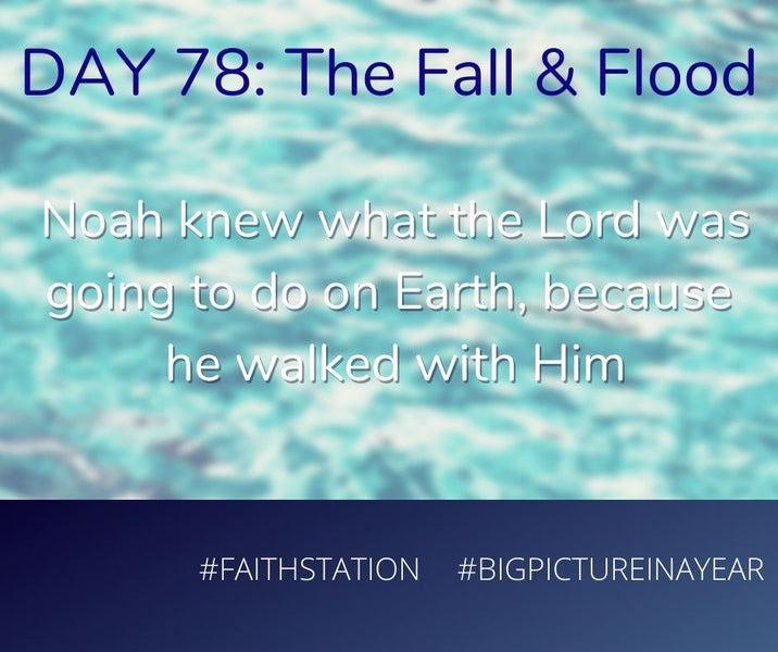 DAY 78 - BIG PICTURE IN A YEAR - THE FALL & THE FLOOD