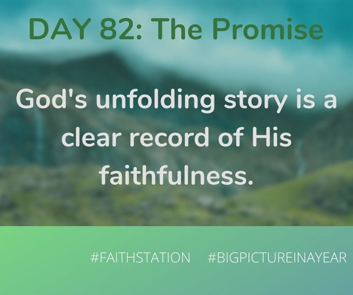 DAY 82 - BIG PICTURE IN A YEAR - THE PROMISE