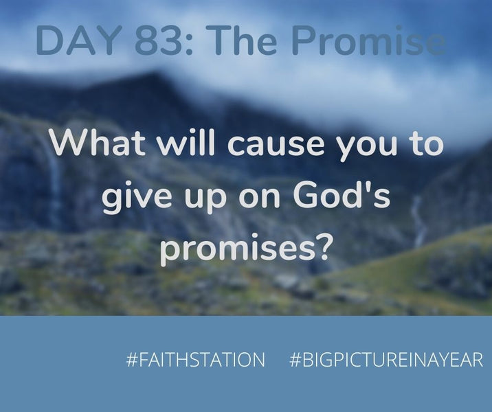 DAY 83 - BIG PICTURE IN A YEAR - THE PROMISE