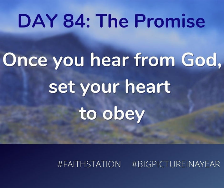 DAY 84 - BIG PICTURE IN A YEAR - THE PROMISE