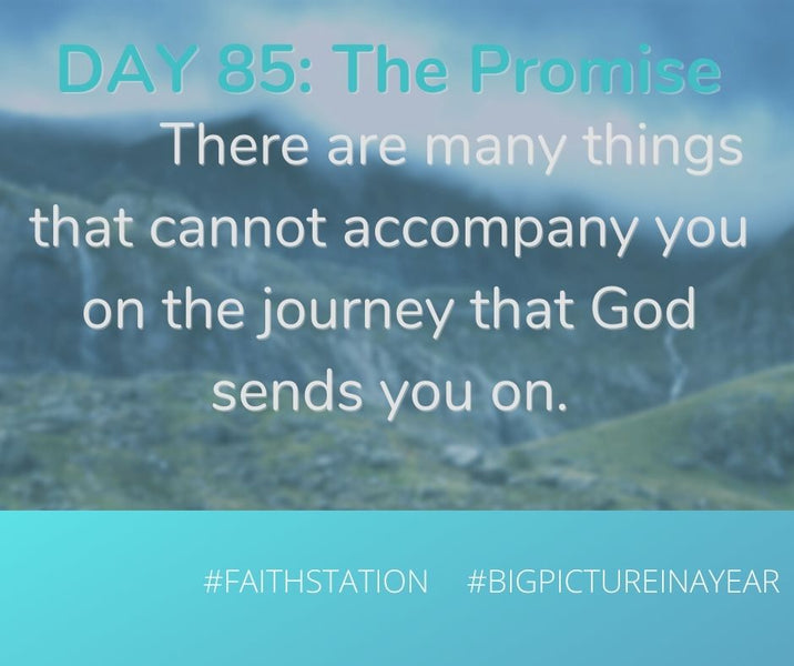 DAY 85 - BIG PICTURE IN A YEAR - THE PROMISE