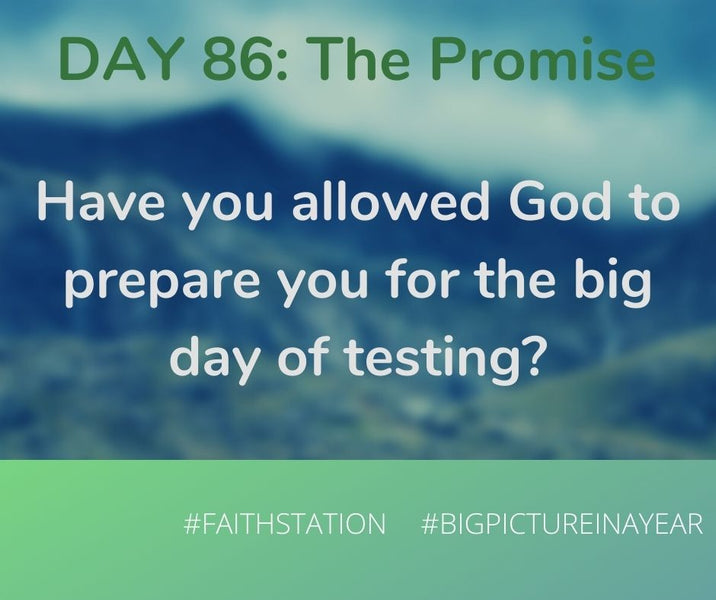 DAY 86 - BIG PICTURE IN A YEAR - THE PROMISE