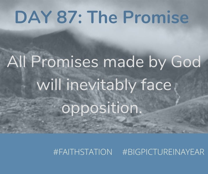 DAY 87 - BIG PICTURE IN A YEAR - THE PROMISE