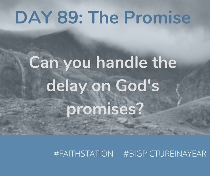 DAY 89 - BIG PICTURE IN A YEAR - THE PROMISE