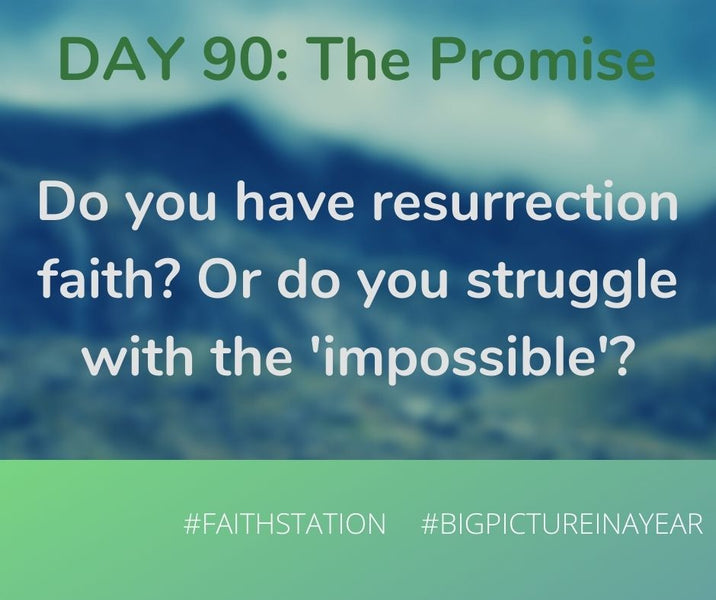 DAY 90 - BIG PICTURE IN A YEAR - THE PROMISE