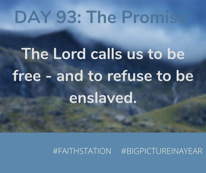 DAY 93 - BIG PICTURE IN A YEAR - THE PROMISE