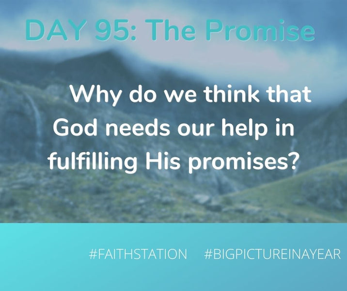 DAY 95 - BIG PICTURE IN A YEAR - THE PROMISE