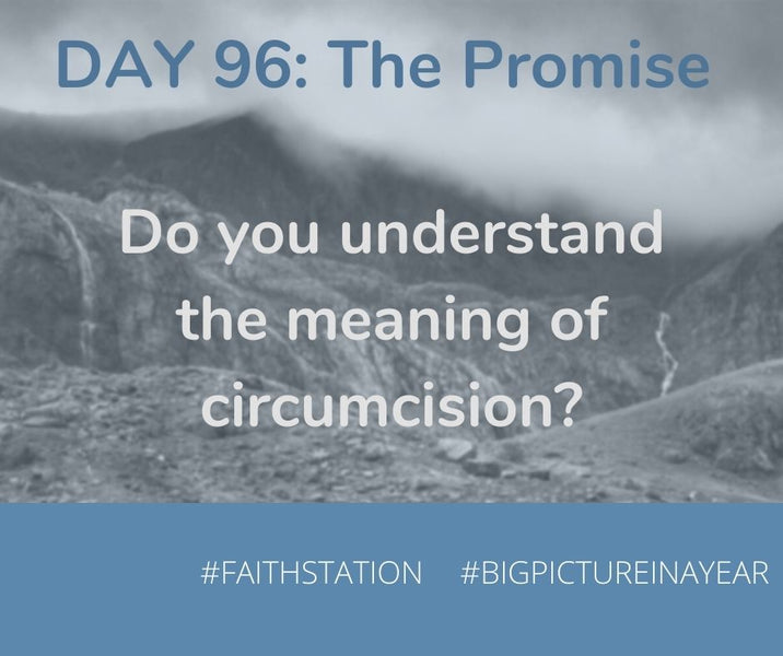 DAY 96 - BIG PICTURE IN A YEAR - THE PROMISE