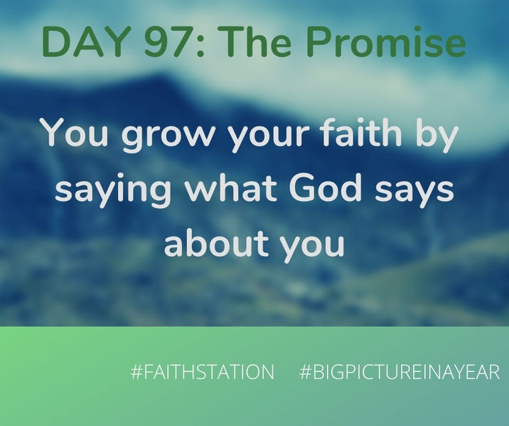 DAY 97 - BIG PICTURE IN A YEAR - THE PROMISE