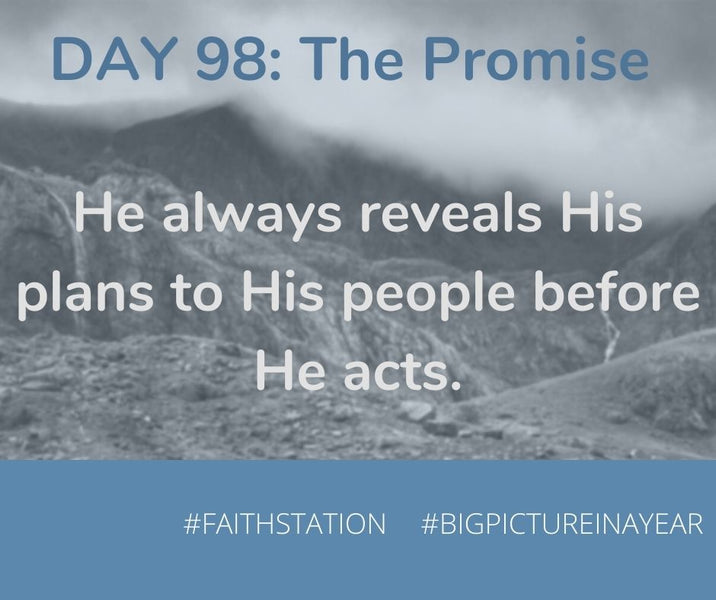 DAY 98 - BIG PICTURE IN A YEAR - THE PROMISE